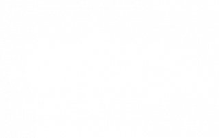 Petit Artist